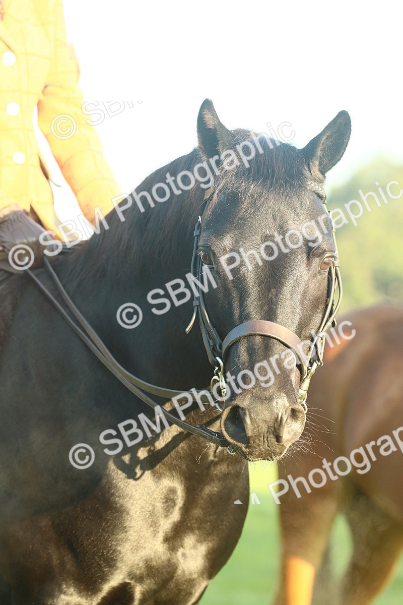 SBM_56634 - S36 - Starters Best Turnout
