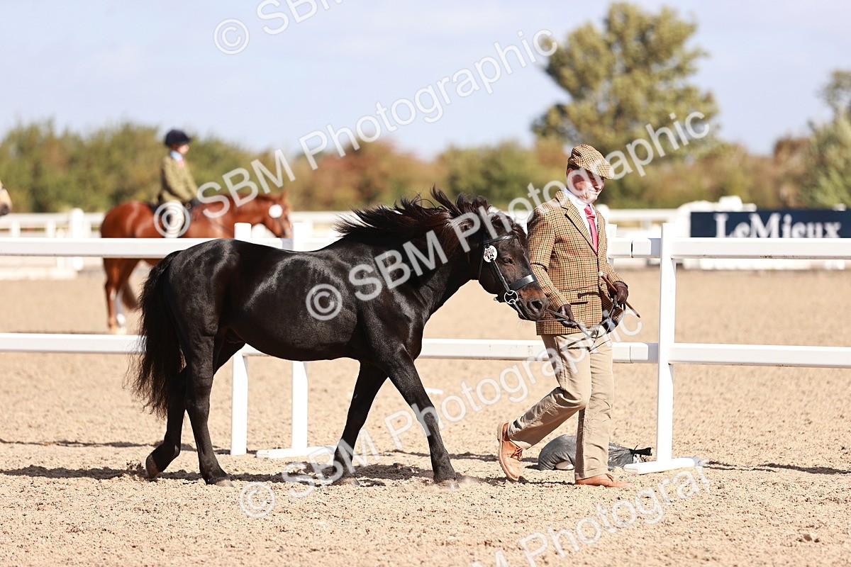 SBM_22797 - Class 705 - IH Combination 65+