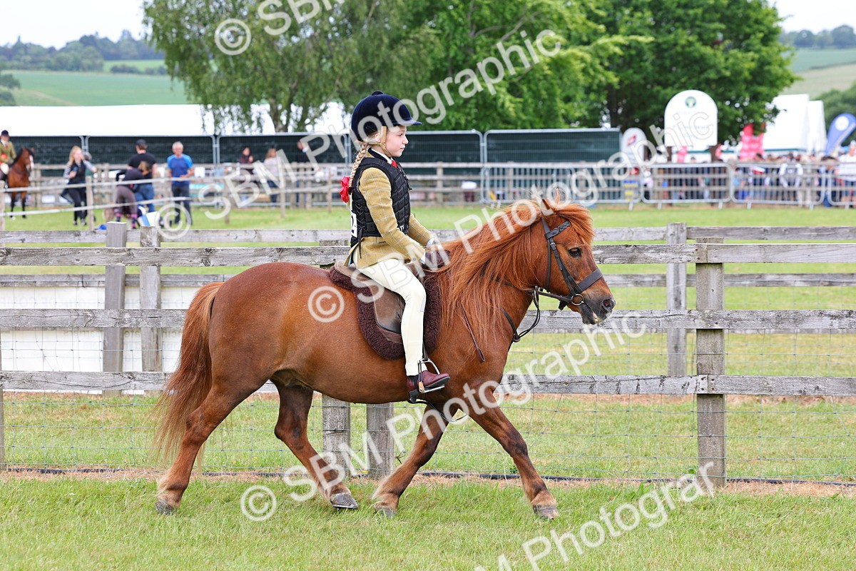 SBM_08510 - Class 42-43 - LIHS BSPS Heritage Working Sports Pony