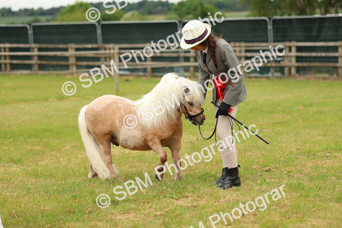 SBM_03518 - Class 58-67 - M&M Non Welsh Pony In hand