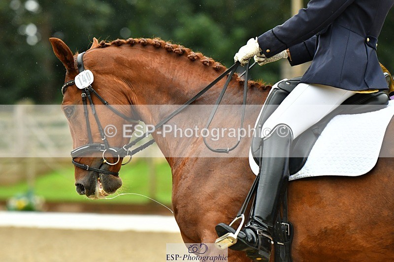 230722-154450-03747 - Cls 5, Elementary Silver 15.10 to End