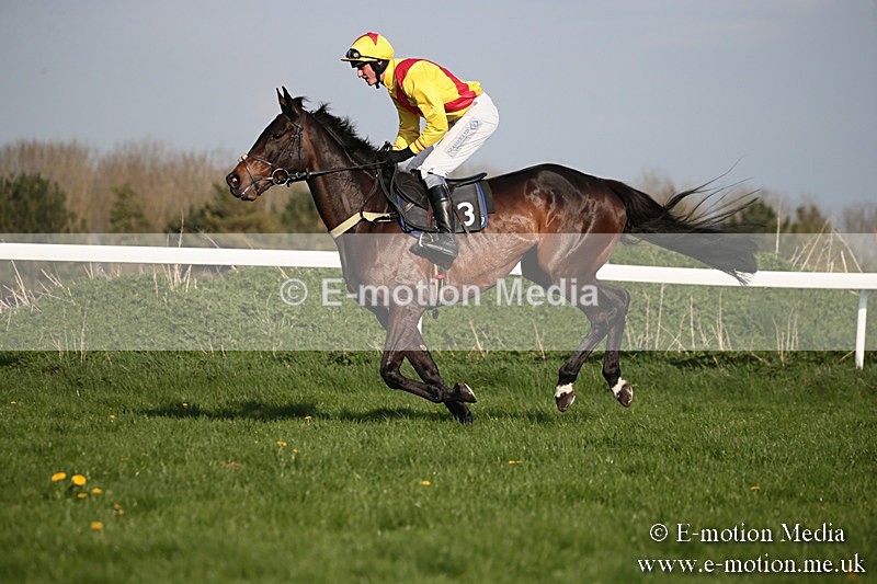 PtP 210418 553 - South & West Wilts Point-to-Point Larkhill 21/04/18