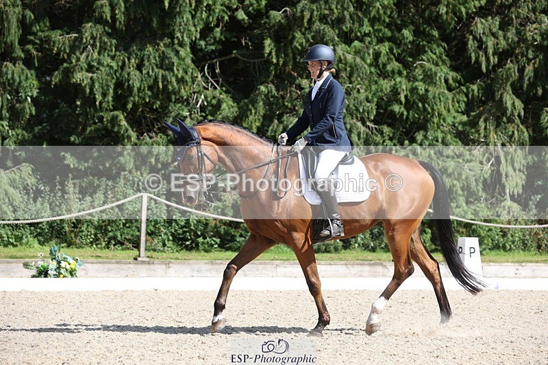 230811-153828-02485 - Cls 1 Prelim Bronze 15.00 to End