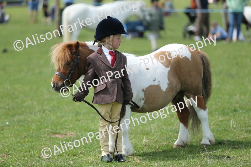20250427-4120 - Class 11 - Best Child Handler