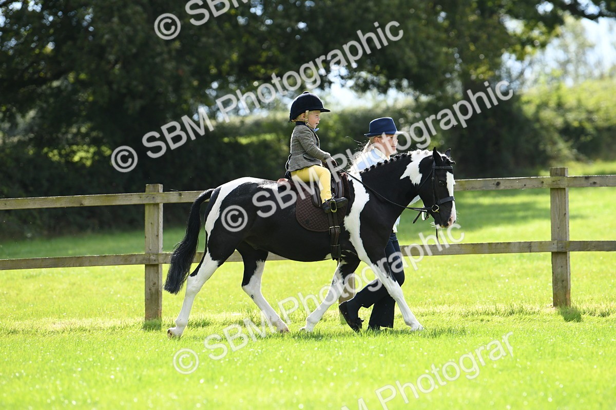 SBM_41151 - S19 - Lead Rein Show & Show Hunter Pony
