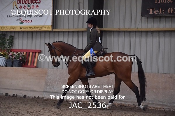 JAC_2536 - CLASS 3 Intermediate Working Hunter