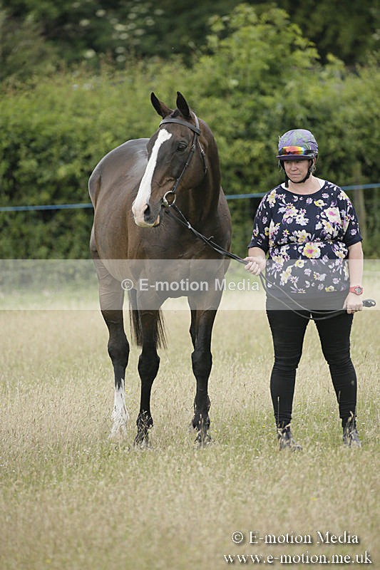 B230619-0283 - Bourne Valley Riding Club Summer Show 23/06/19