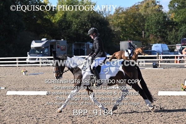 BPP_9184 - LONG ARENA