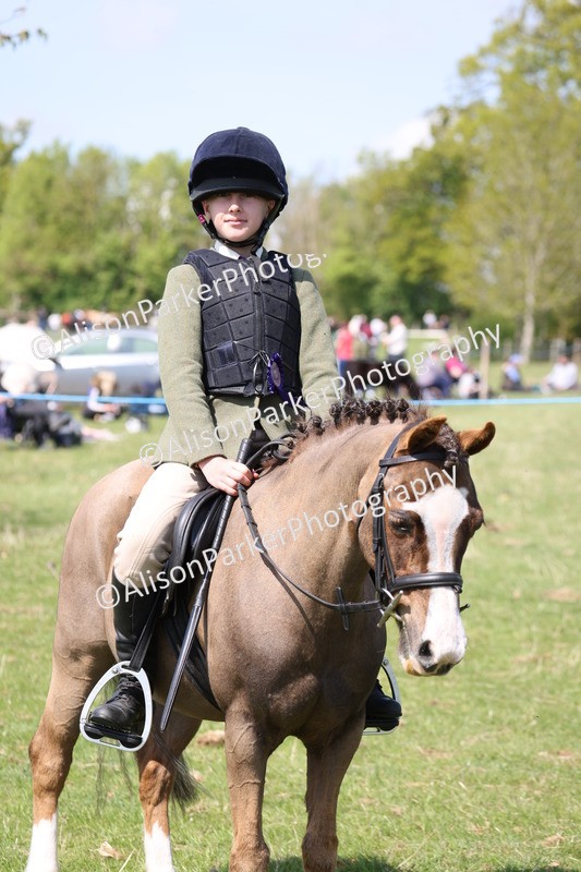 20250427-3336 - Small Pony Championship