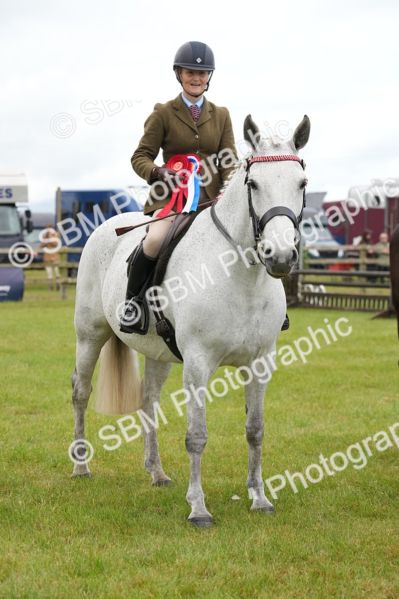 SBM_12859 - Class 97-98 - LIHS BSHA Rising Star Working Show Horse Hunter
