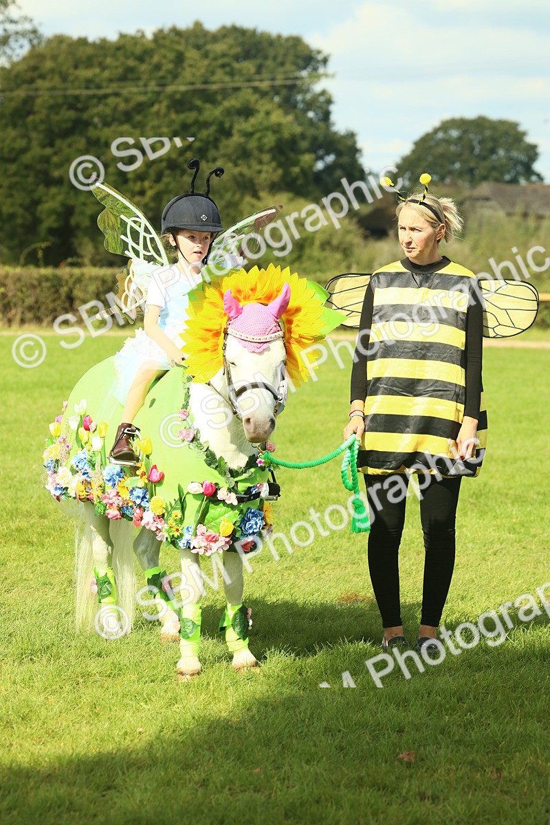 SBM_63525 - S35 - Fancy Dress Showing