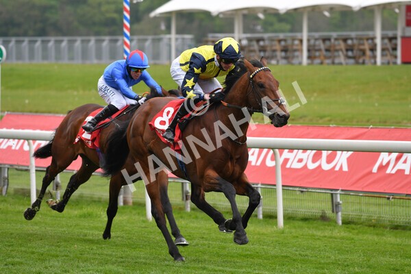 yr14052021r3-16 - Race 3 2.40pm The Matchbook Best Value Exchange Stakes