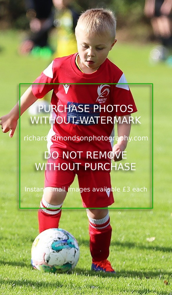 IMG_0485 - Ibis Under 7 vs Wattsfield Under 7 (28/9/24)
