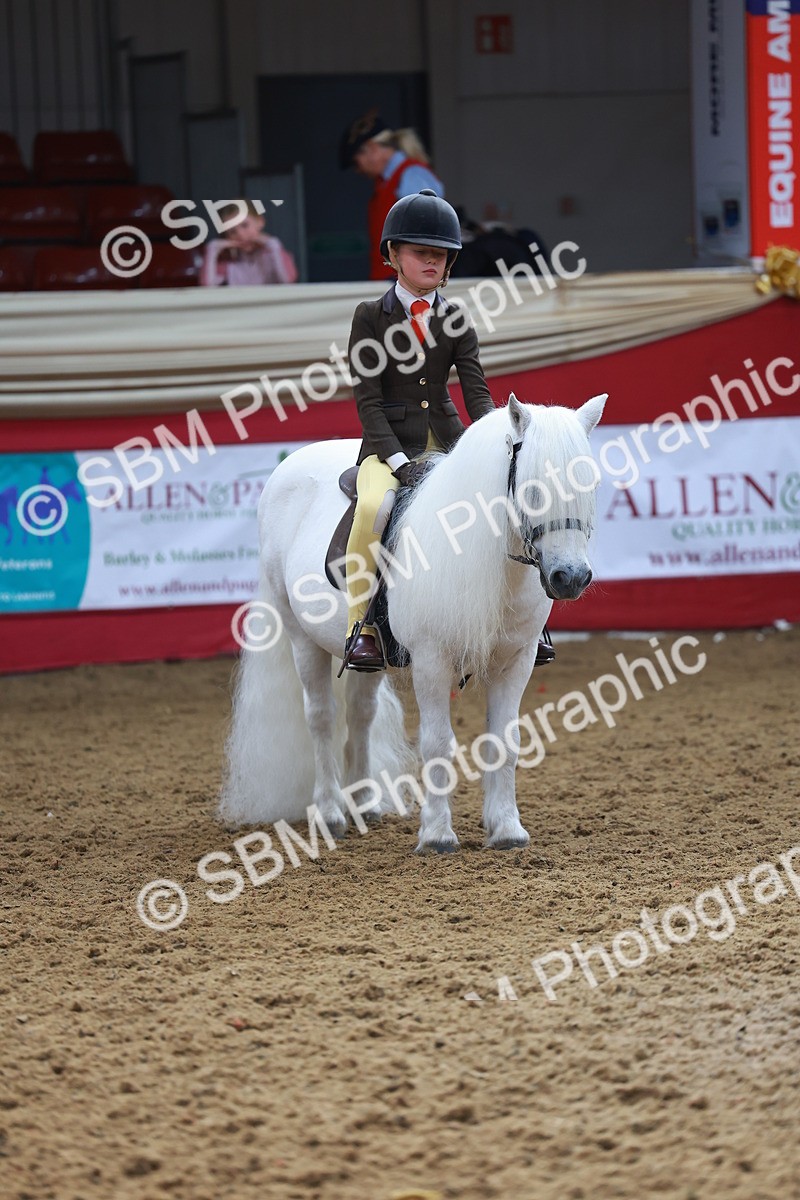SBM_09840 - Class 102 - HOYS Veteran Qualifier - Ridden Veteran