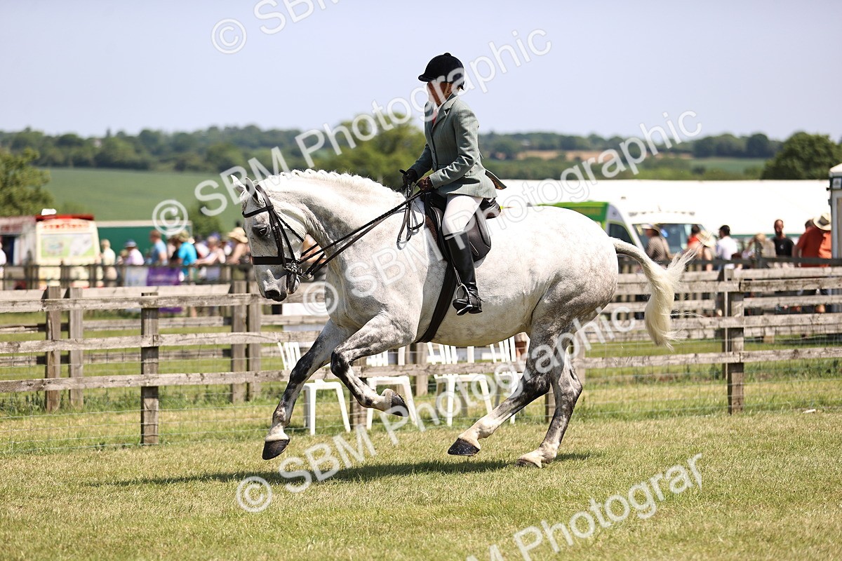 SBM_16134 - Class 79-80 - LIHS BSHA Rising Star Ridden Hunter