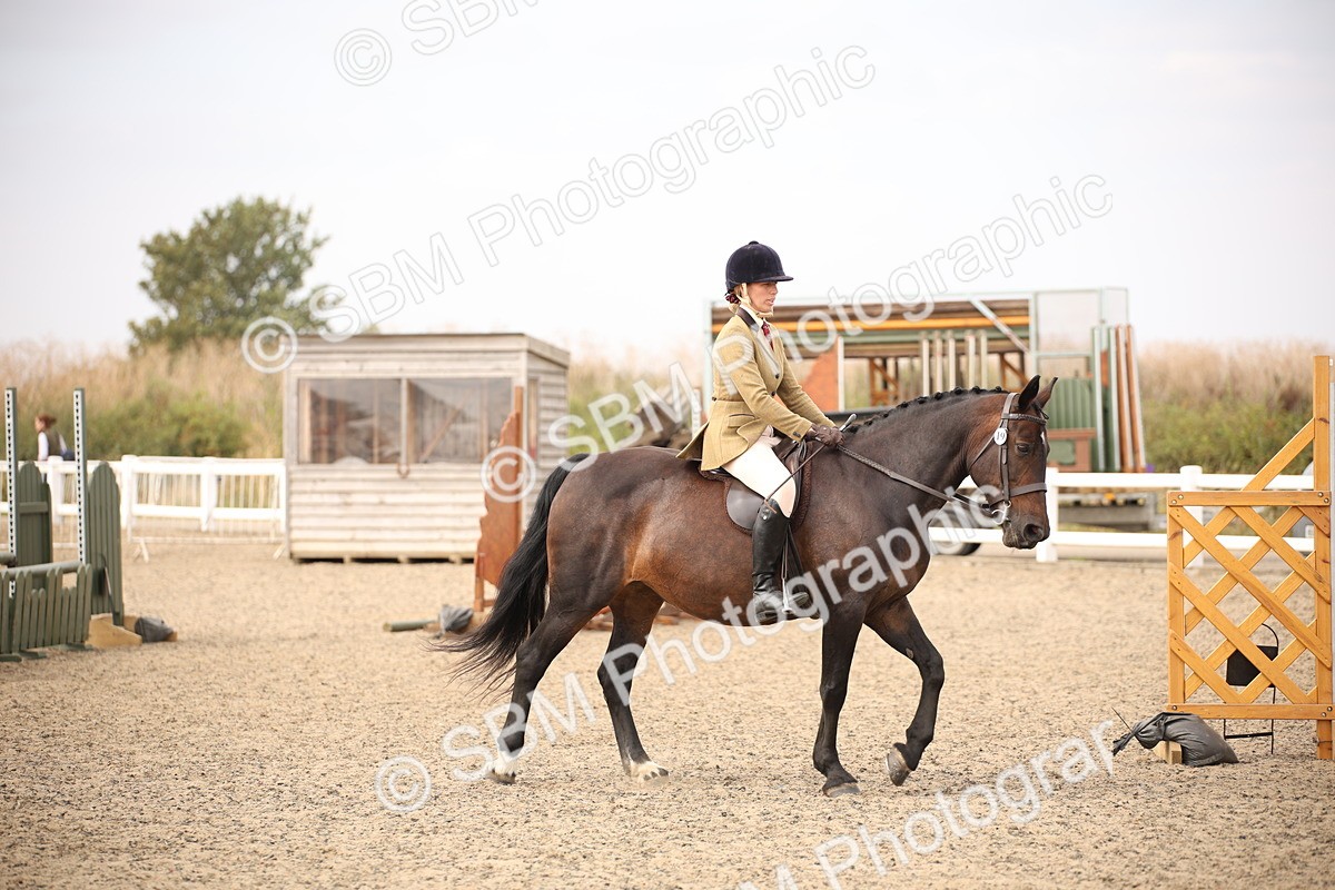 SBM_16215 - Class 409a - Working Veteran 80cm (15-19)