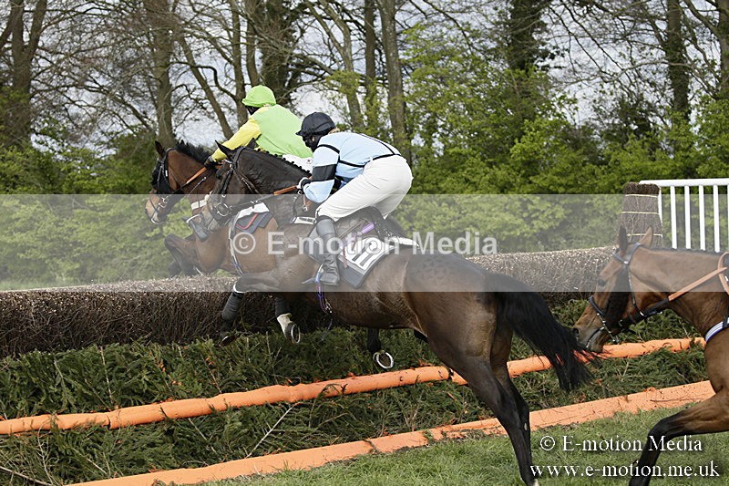 PtP 170417 339 - Old Berks Point-to-Point Lockinge 17/04/17