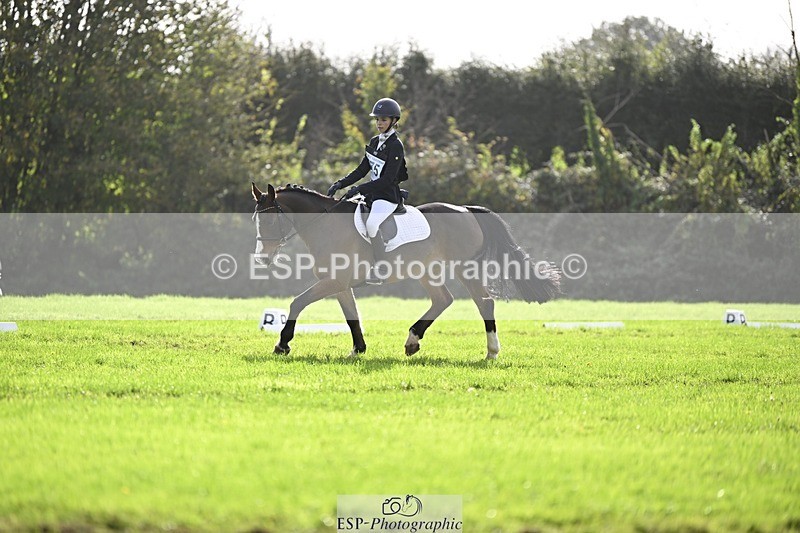 241025-120939-07028 - 375-Erin.Brown-50.SHADES.OF.BAY