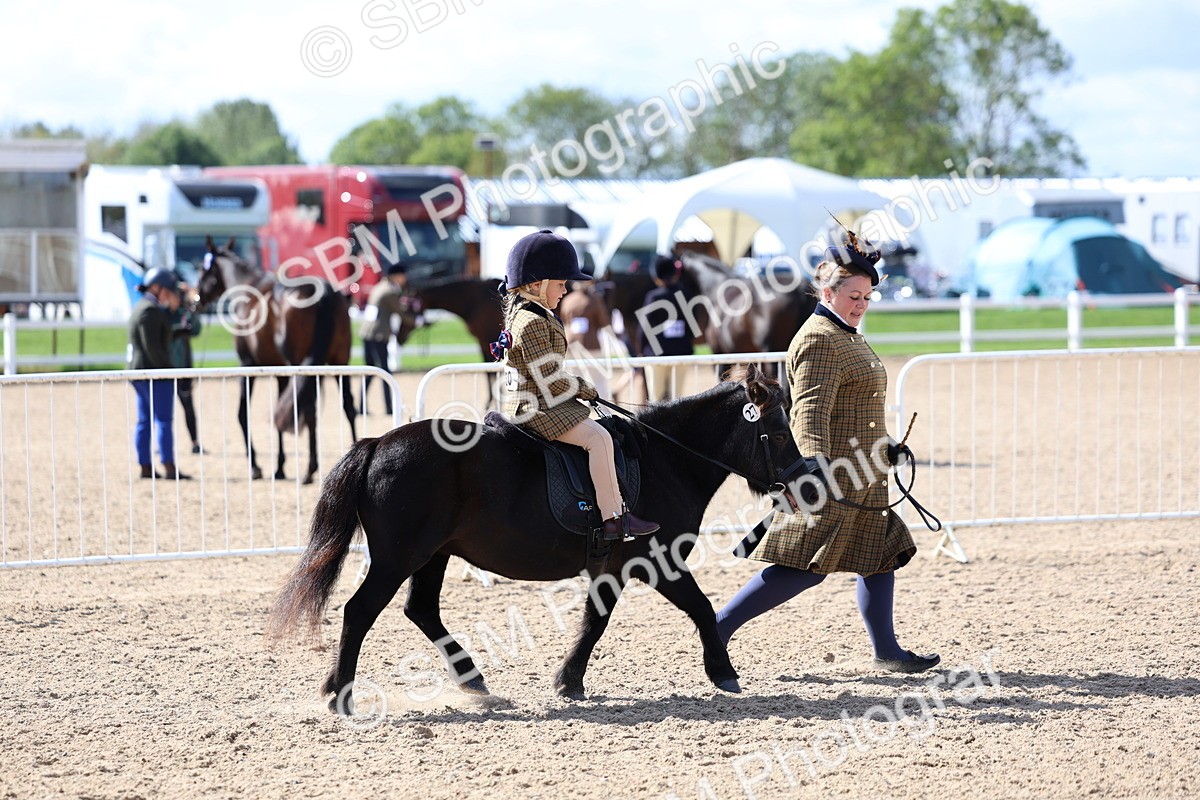 SBM_13051 - Class 309 - Lead Rein Pony