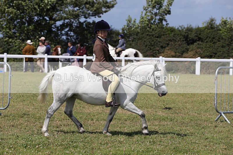 1X9A5438 - Class 37: NPS M&M First Ridden