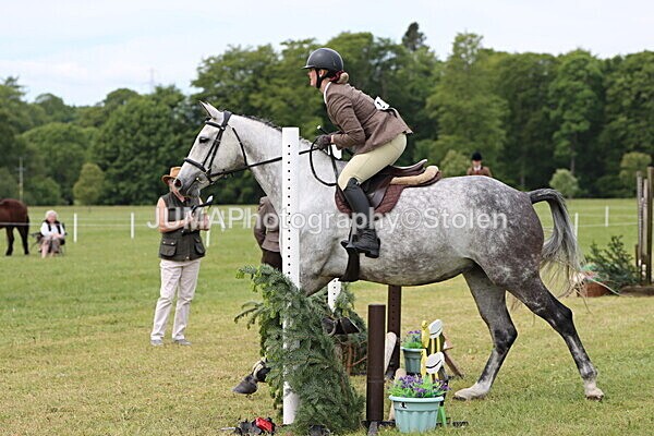 IMG_2758 - Working Hunter
