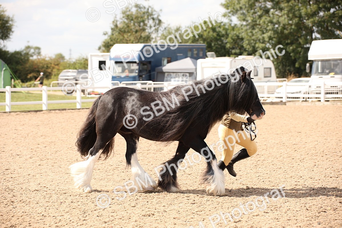 SBM_04536 - Class 20 IH Veteran