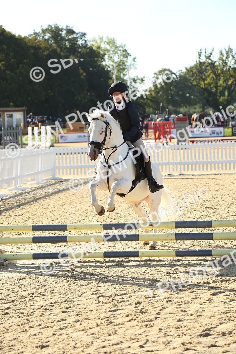 SBM_35832 - J5 - Junior Pony 50cm Championship