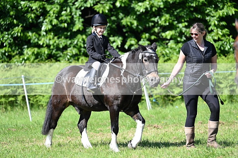 WJ7_0467 - Class 8 First Rally Pony