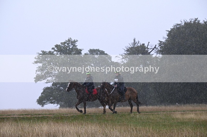 DSC_3078 - Time at Statue 12:59 to 13:49