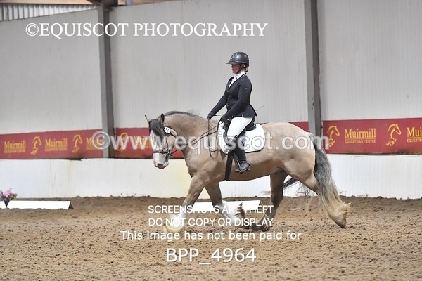 BPP_4964 - INTRO TEST 3