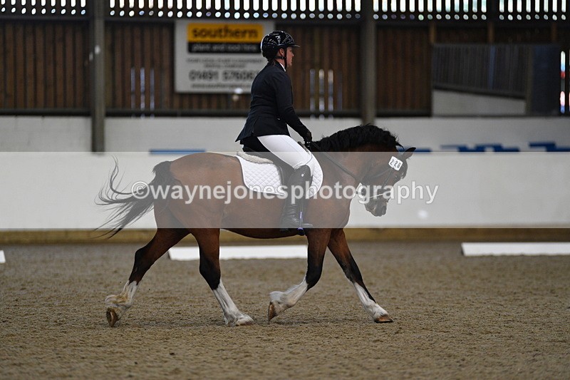 WJ5_7311 - Class 2 Intro Test 2