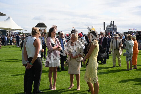 yr18082021r5-9 - Race 5 4.10pm Sky Bet Stakes