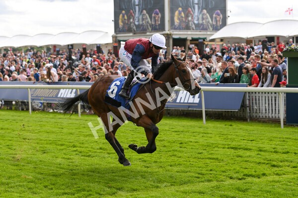 yr21052022r5-22 - Race 5: 4:07pm Phoebe Johnson Celebration EBF Restricted Novice Stakes