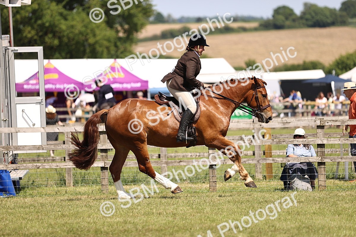 SBM_17756 - Class 81-83 - TSR Ridden Amateur of the Year - Horses