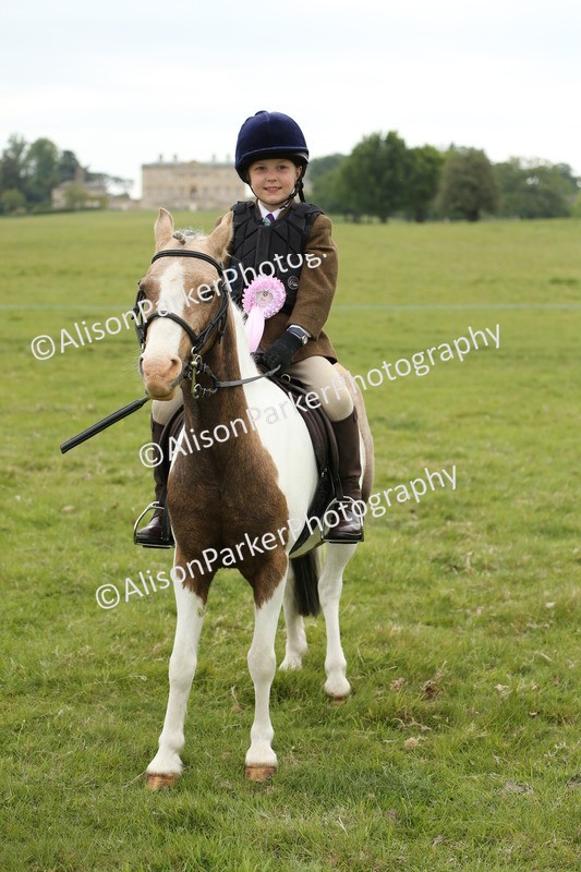20250517-0627 - Class 20 - Beginners Working Hunter