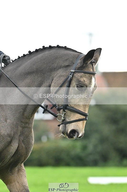 241024-114432-02467 - 319-Neve.Webber-MR.BUZZ