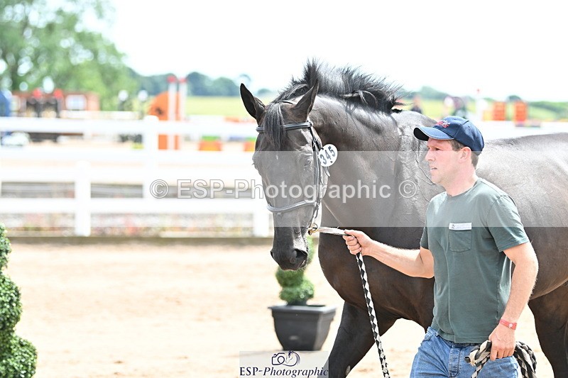 240717A-144131-02203 - Trot Up 2pm to 3pm - This folder is not in time order