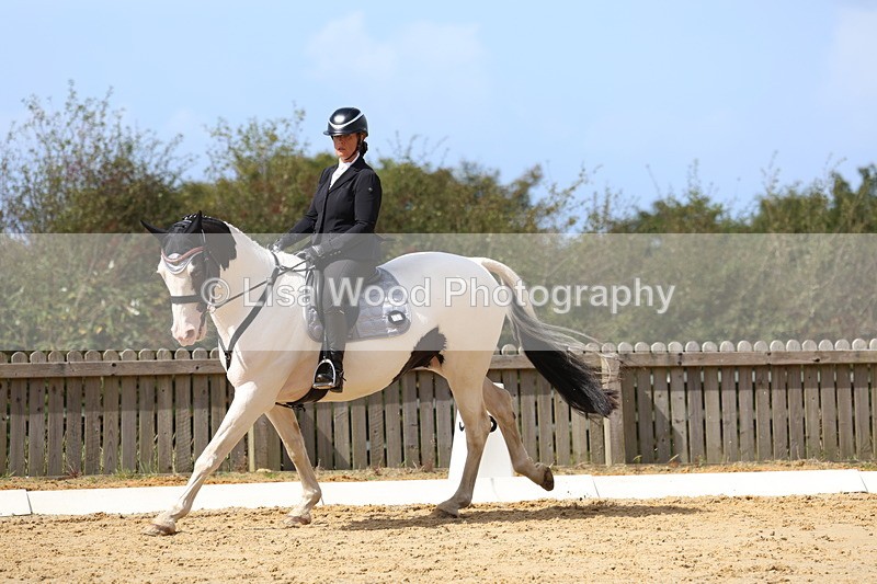 3E7A4095 - Class 9: Novice 6 Section B Championship