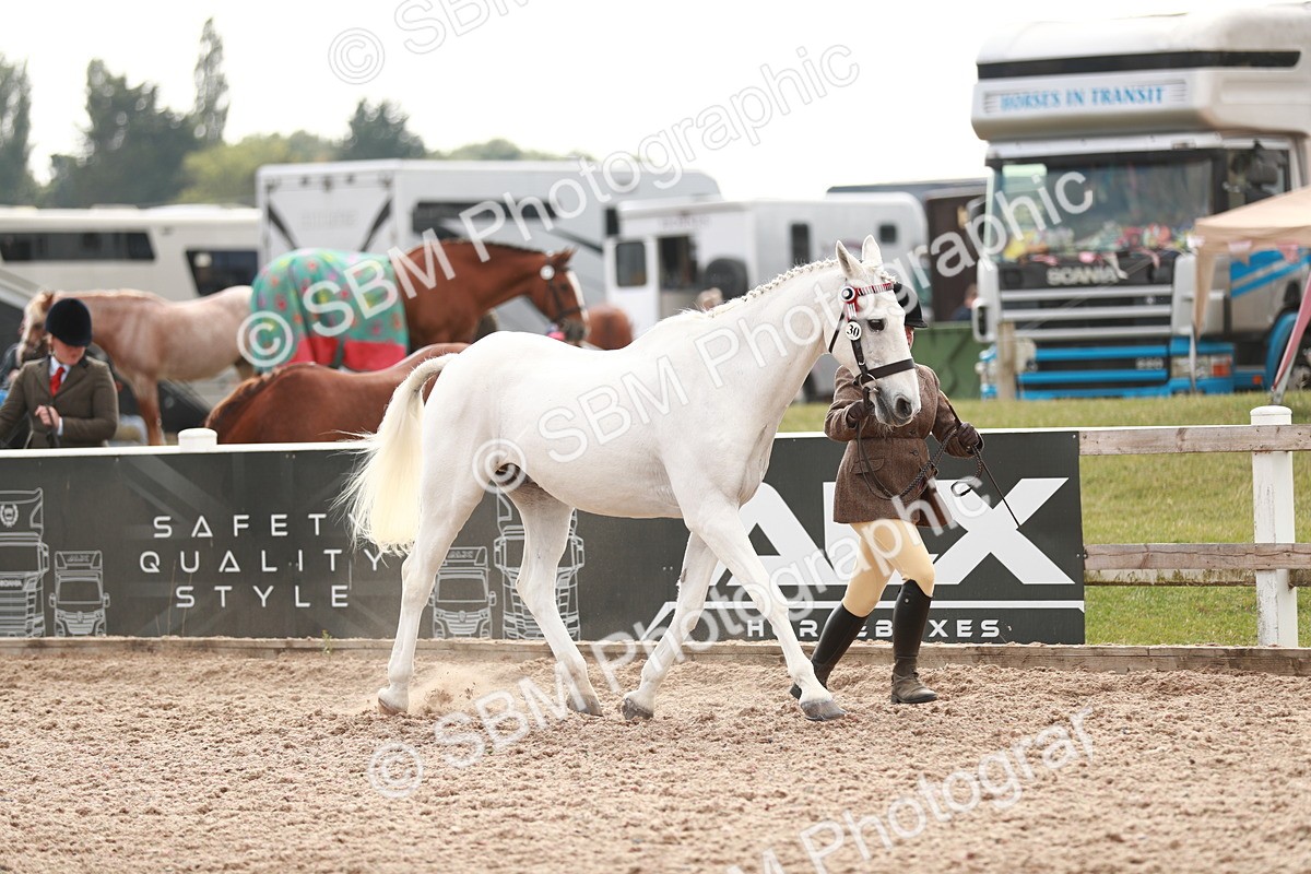 SBM_13198 - Class 208 IH Veteran Horse