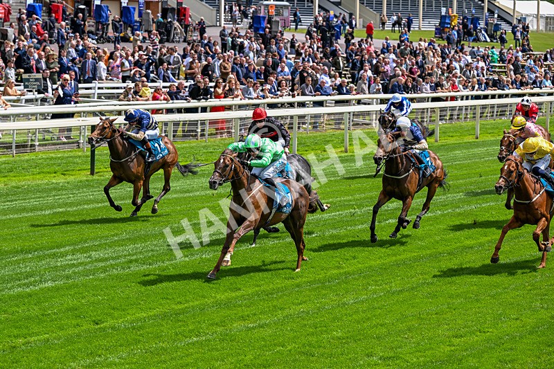 120626-Race 2-Everatease-6829 - Race 2 14.25pm Constant Security Keeping York Racegoers Safe Rous Selling Stakes