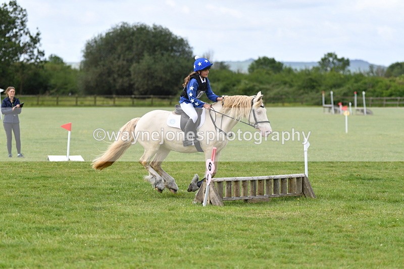 WJ5_2719 - Class 2 40cm