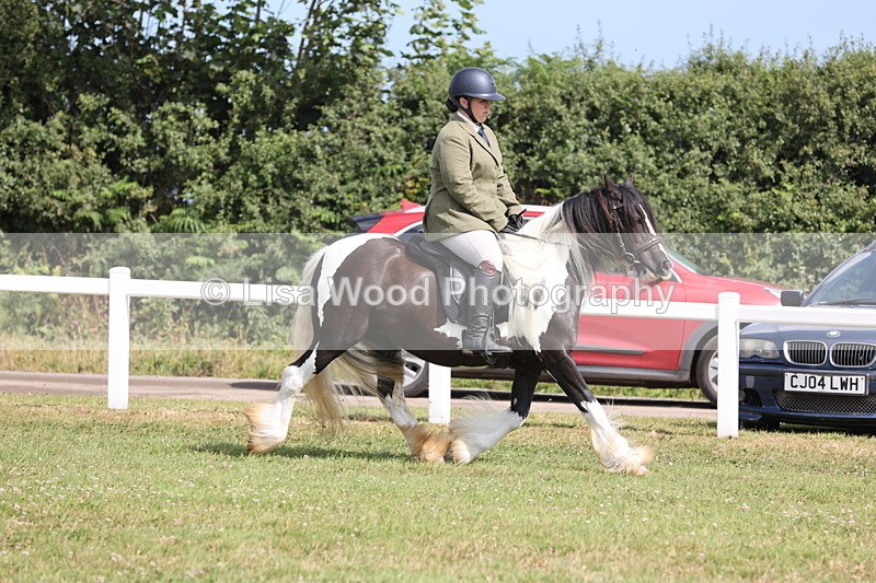JPP_1150 - Class 17: Cornish Combination Open
