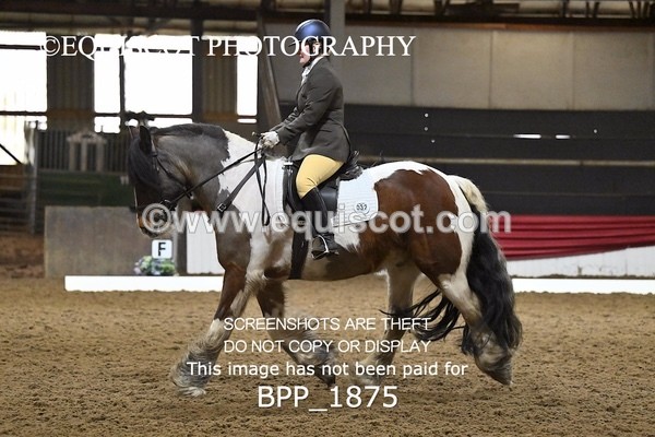 BPP_1875 - INTRO TEST 3