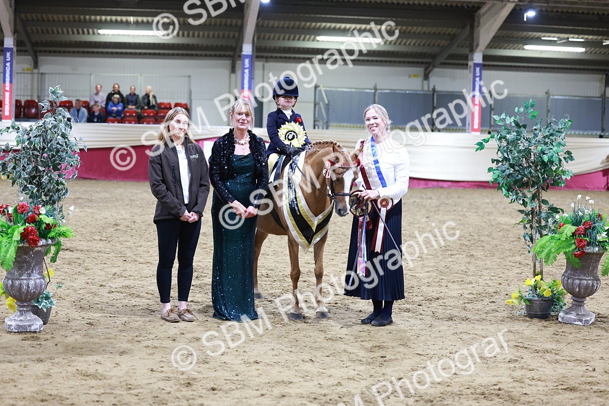 SBM_20584 - Class H - IH Competition - Riding Club champ