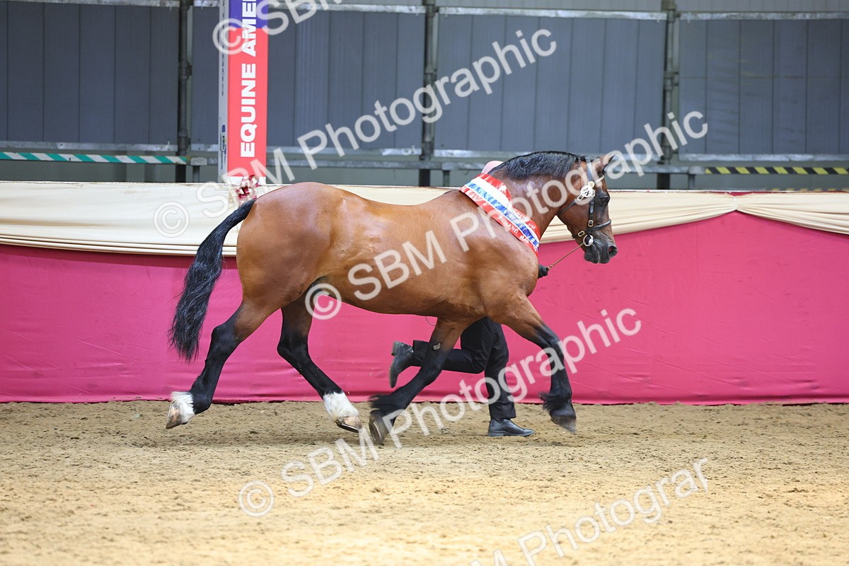 SBM_23260 - Supreme Final - IH Champion