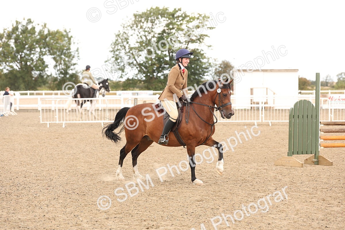 SBM_06704 - Class 58a -  Style & Performance - 70cm (15-19)