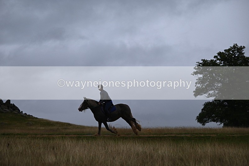 DSC_3297 - Time at Statue 12:59 to 13:49