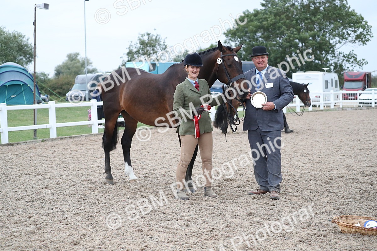 SBM_18409 - Class 318 IH Part bred Horse/Pony
