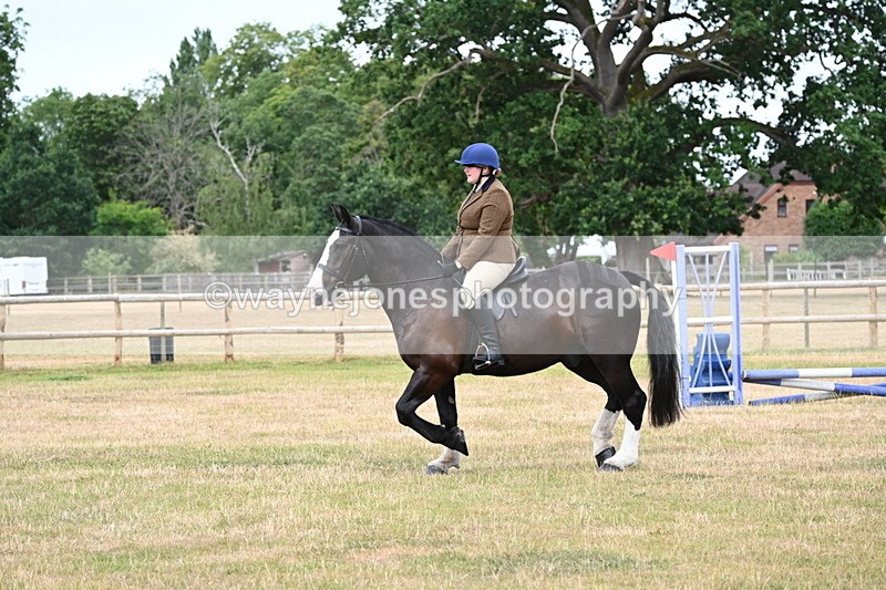 WJ6_3868 - Class 9 Tack & Turnout