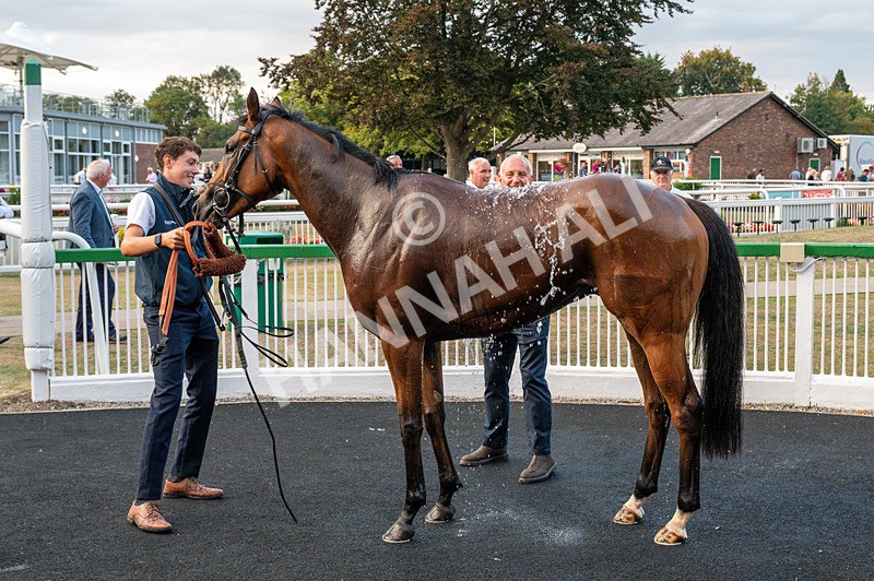 150825-Race 5-Jez Bomb-8748 - Race 5